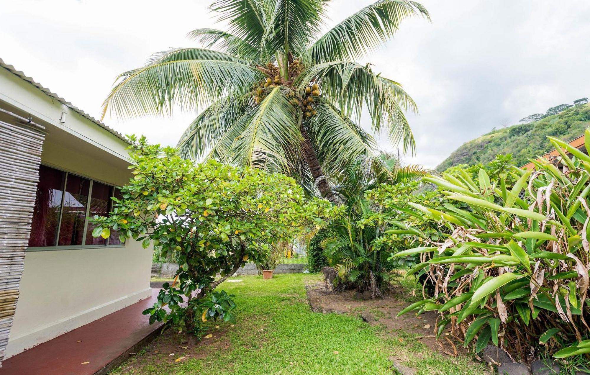 Pension Te Miti - Plage-Beach 200M - Mahana Parc & Vaiava Beach Pk18 - B&B Chambres Ou Dortoir Punaauia  Екстер'єр фото